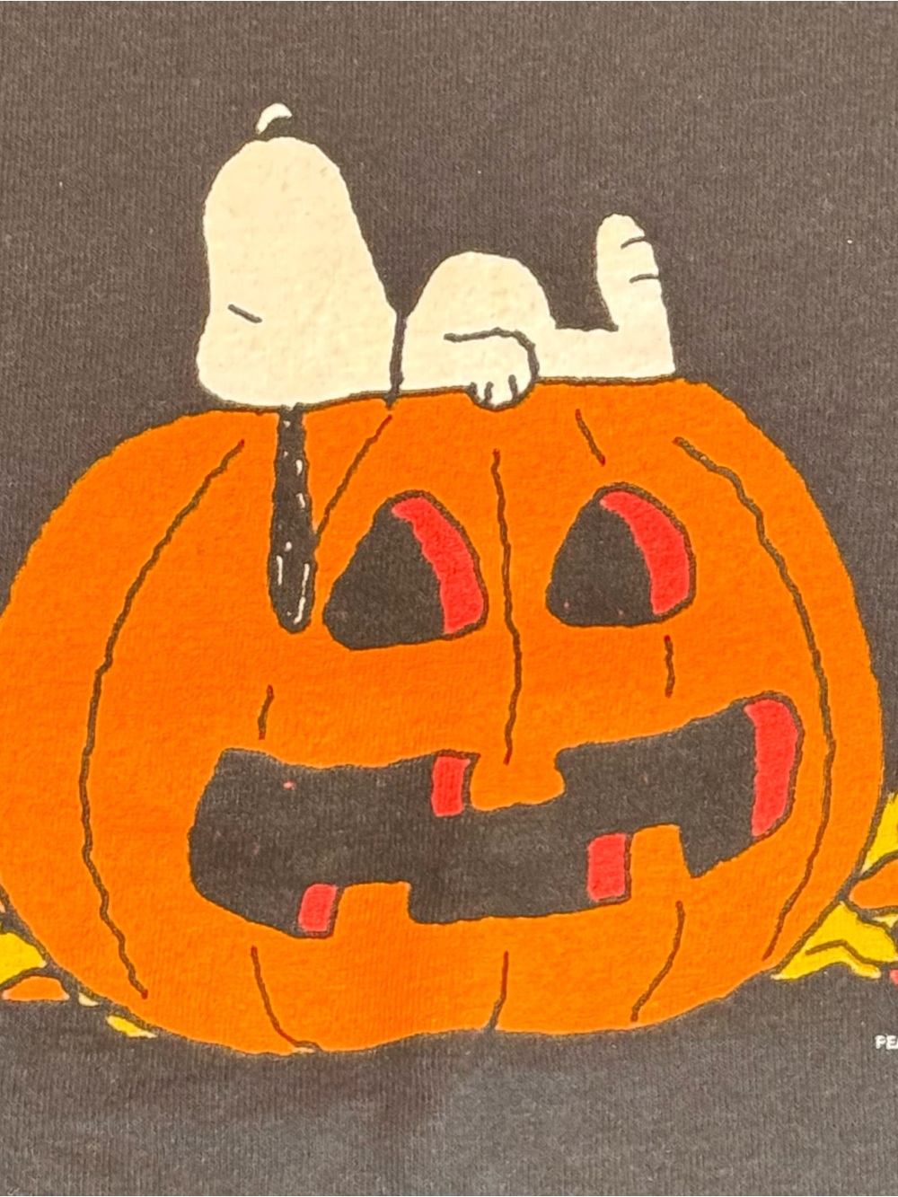 Peanuts Black T-Shirt with Snoopy on Orange Pumpkin-M(18x28)